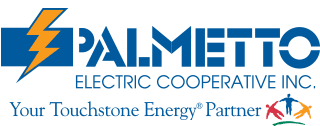 Palmetto Electric