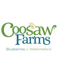 Shellring Ale Works - Port Royal, SC